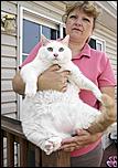 Click image for larger version

Name:	princess_chunky_a_44pound_cat.jpg
Views:	1708
Size:	36.8 KB
ID:	3238