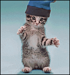 Click image for larger version

Name:	cat-kitten-with-silly-hat-dancing-animated-1-DHD.gif
Views:	629
Size:	104.8 KB
ID:	3958