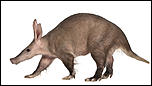 Click image for larger version

Name:	aardvark.jpg
Views:	300
Size:	702.1 KB
ID:	9138