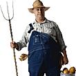 datafarmer's Avatar